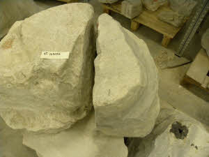 SC_RA_G0380-00198_IMG-0000107880