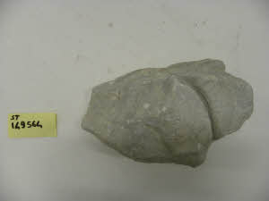 SC_RA_G0380-00206_IMG-0000107889