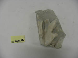 SC_RA_G0380-00208_IMG-0000107891