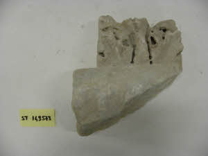 SC_RA_G0380-00213_IMG-0000107897