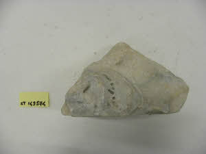 SC_RA_G0380-00214_IMG-0000107898