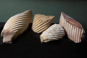 SC_RA_G0380-00409_IMG-0000108153