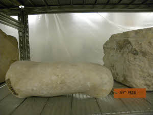 SC_RA_G0380-00431_IMG-0000108047