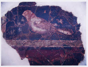 SC_RA_G0380-00507_IMG-0000108104