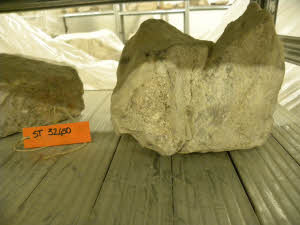 SC_RA_G0380-00517_IMG-0000108137