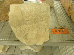 SC_RA_G0380-00519_IMG-0000108140