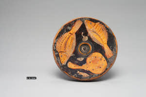 SW_RA_SWAK1-00141_IMG-0000000003